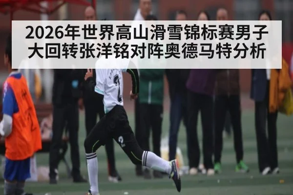 2026年世界高山滑雪锦标赛男子大回转张洋铭对阵奥德马特分析